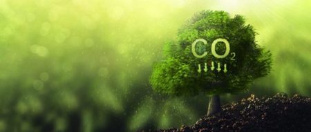 Karbon emisyonlarını azaltmaya yönelik küresel politikalar