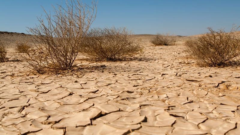Çölleşme ve kuraklıkla mücadelede alınabilecek önlemler