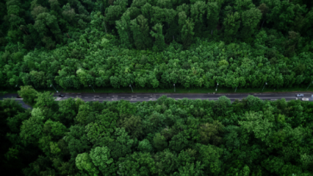 İklim değişikliğine karşı doğa tabanlı çözümler