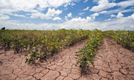 Küresel ısınmanın tarım üretimi üzerindeki etkileri