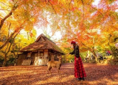 Gizli Hazine Şehirleri: Herkesin Bilmediği Ama Mutlaka Görülmesi Gereken Şehirler